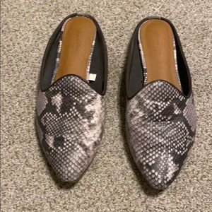 Snake skin slip ons